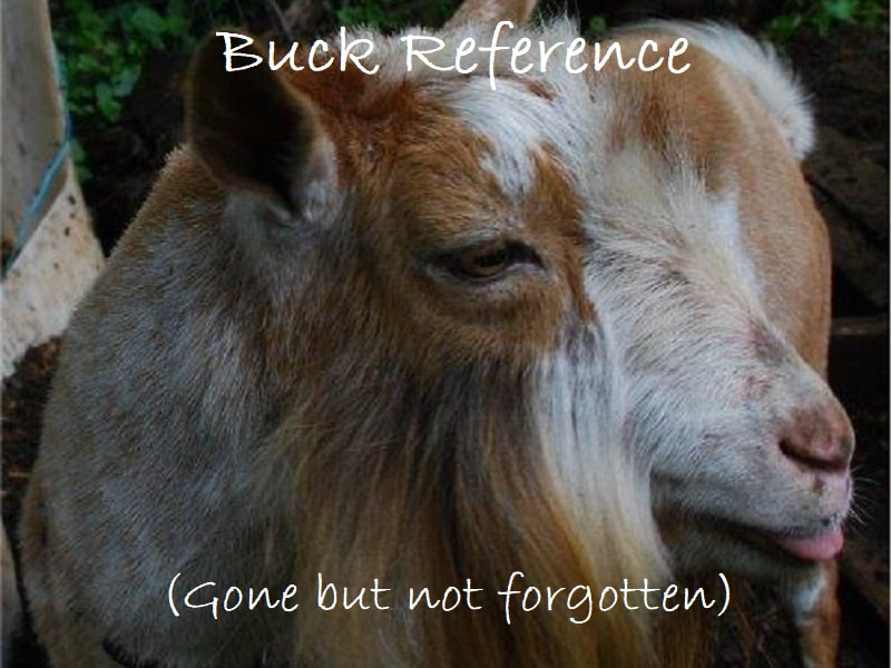 Buck Reference
